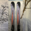 SALOMON STANCE PRO 86